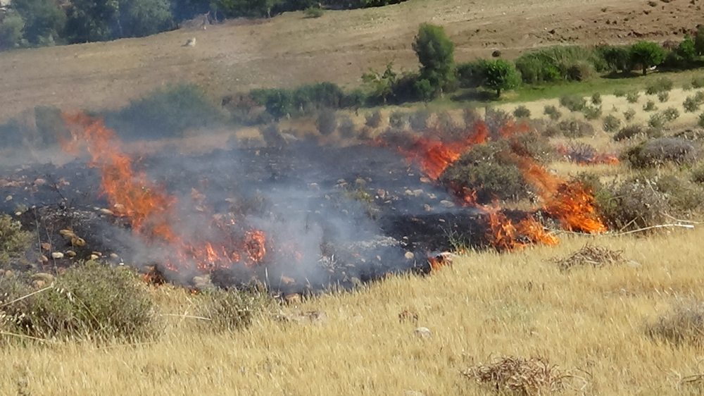Kırıkhan`da  350 dönümlük makilik alan küle döndü