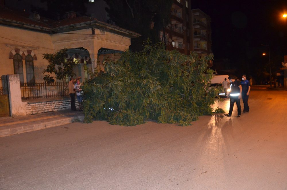 PARK HALİNDEKİ ARACIN ÜTÜNE AGAÇ DEVRİLDİ