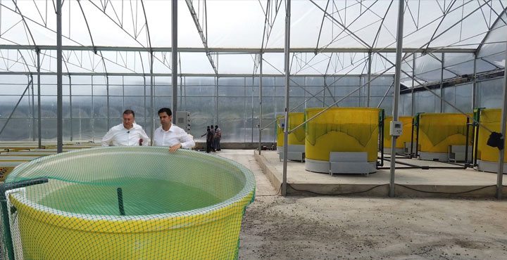 TOPRAKSIZ TARIM YAPMAK İÇİN HATAY?DA SERA KURULDU