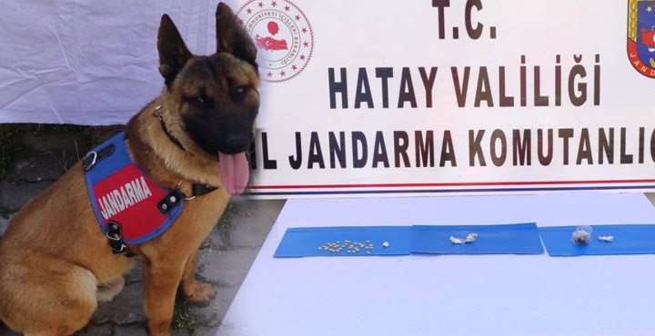KIRIKHAN?DA UYUŞTURUCU ARAMA KÖPEĞİ İLE OPERASYON